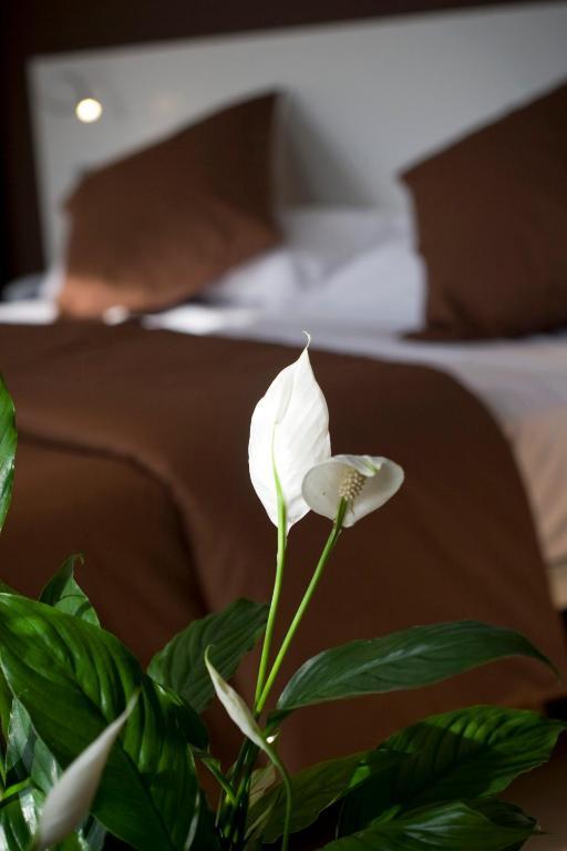 Hotel La Sequia Molinar Campdevánol Dış mekan fotoğraf